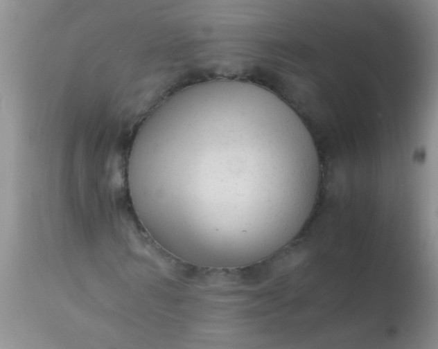 X0000110950962200907022153