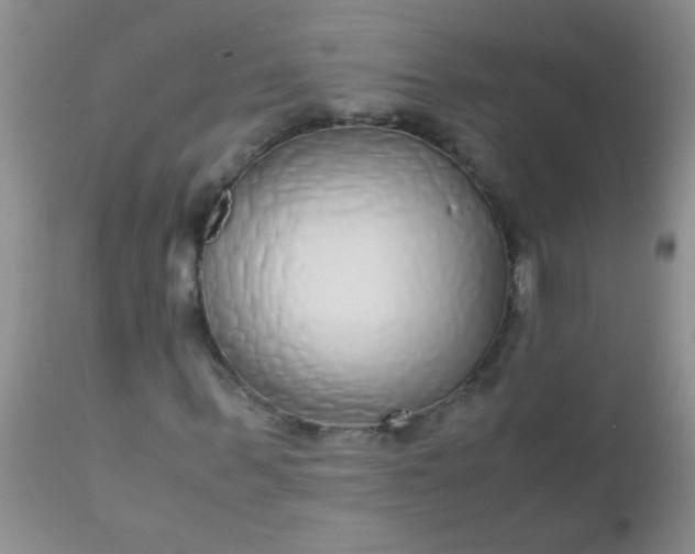 X0000110950963200907022153