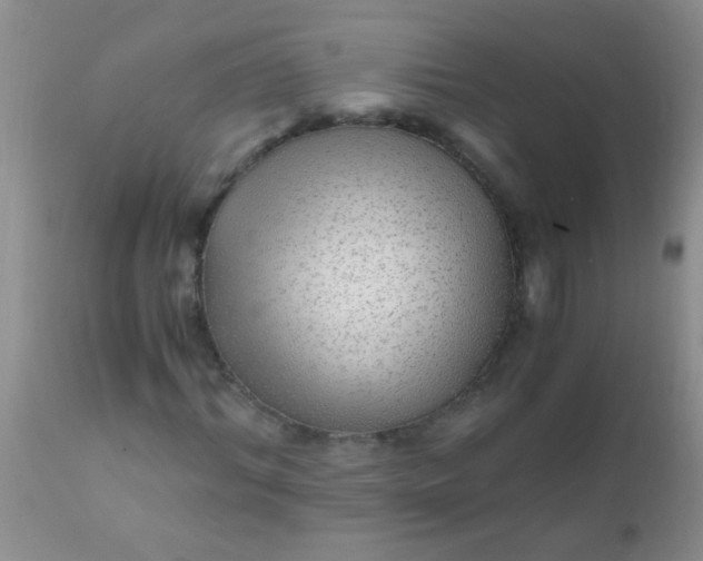 X0000110950964200907022153