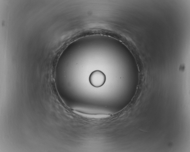 X0000110950965200907022153