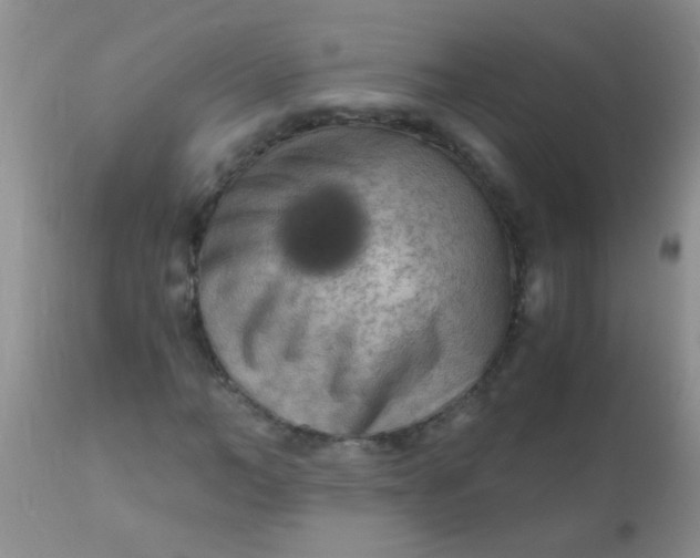 X0000110950966200907022153