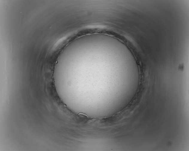 X0000110950967200907022153