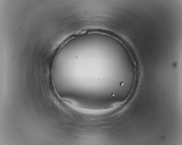 X0000110950969200907022153