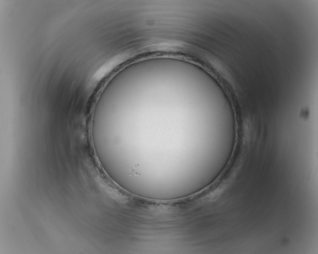 X0000110950970200907022153