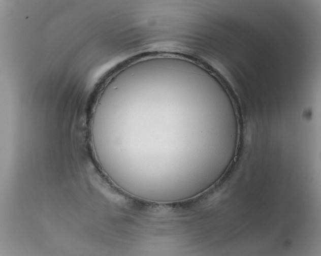 X0000110950971200907022153