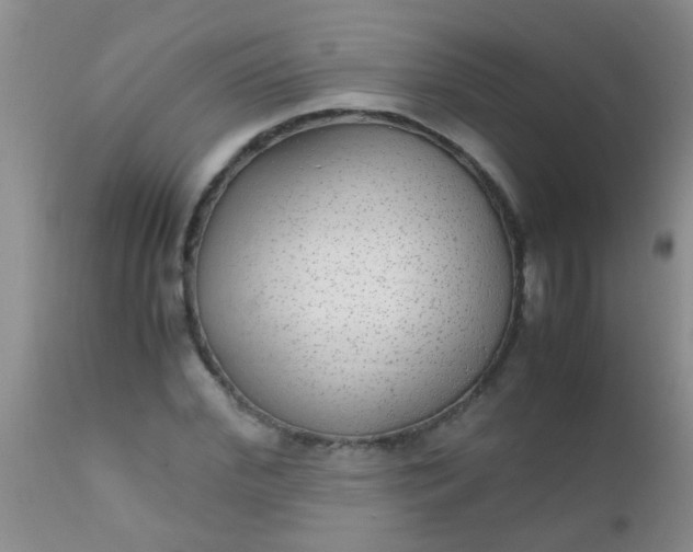 X0000110950972200907022153