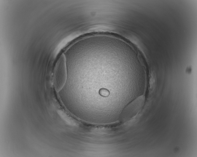 X0000110950973200907022153