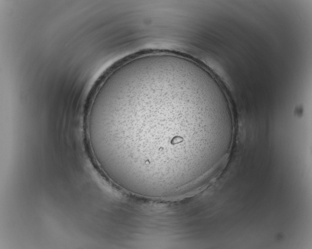 X0000110950976200907022153