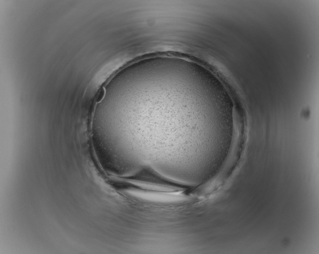 X0000110950977200907022153