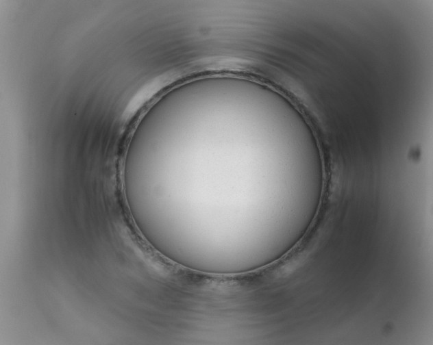 X0000110950978200907022153