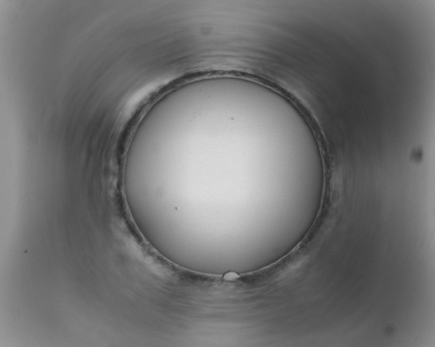 X0000110950979200907022153