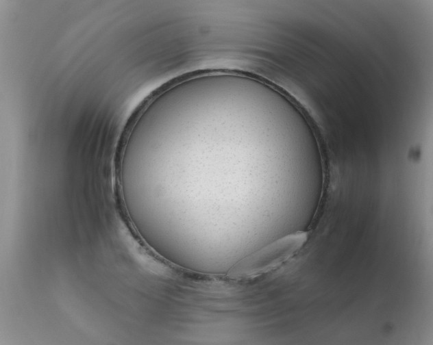 X0000110950980200907022153