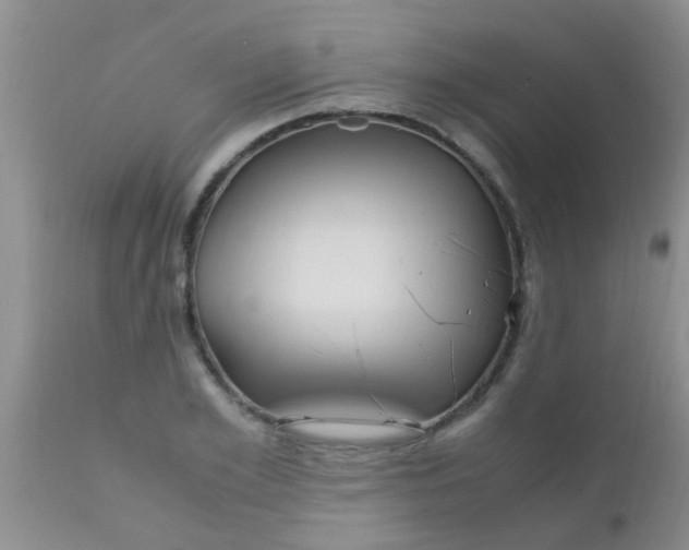 X0000110950981200907022153