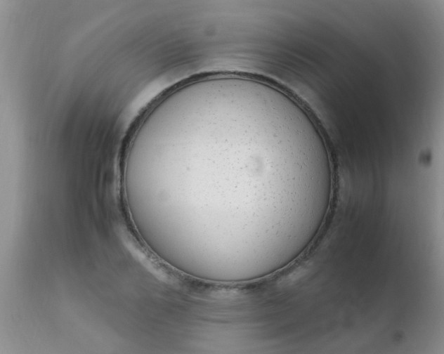 X0000110950982200907022153