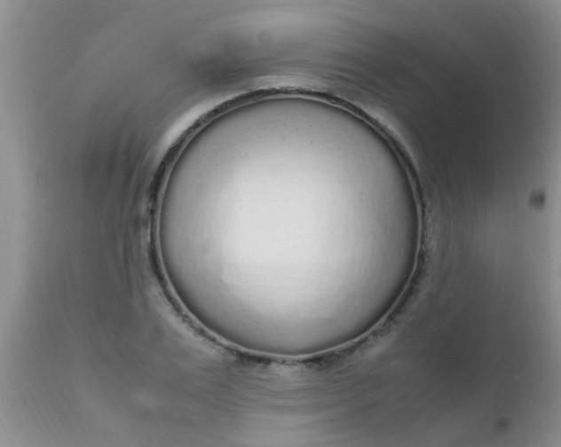 X0000110950983200907022153