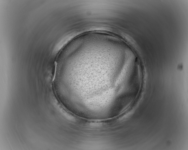 X0000110950985200907022153