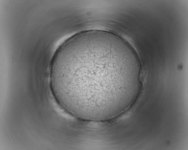 X0000110950987200907022153