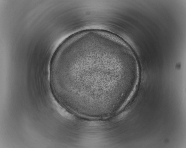 X0000110950988200907022153