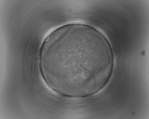 X0000110950989200907022153