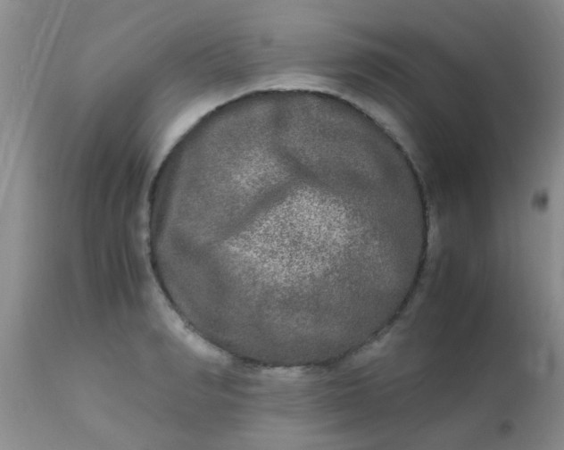 X0000110950990200907022153