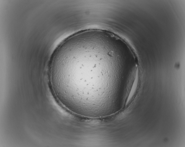 X0000110950991200907022153