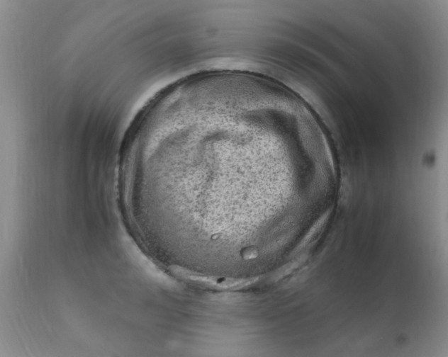 X0000110950992200907022152