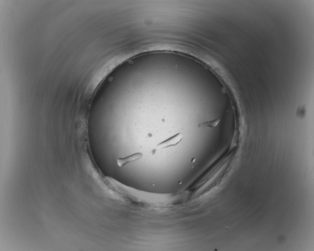 X0000110950993200907022152