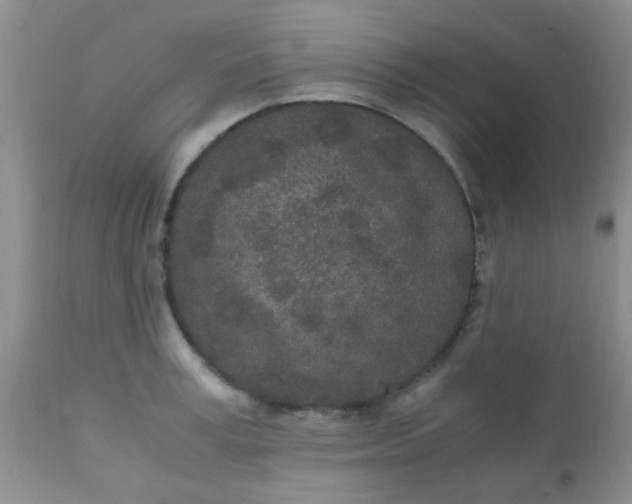 X0000110950995200907022152