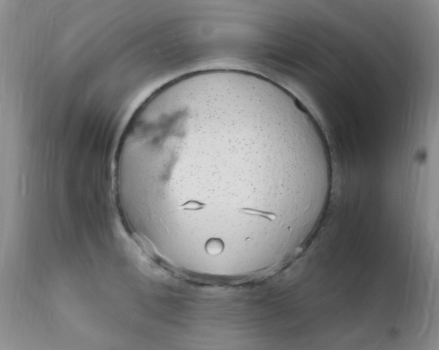 X0000110950996200907022152