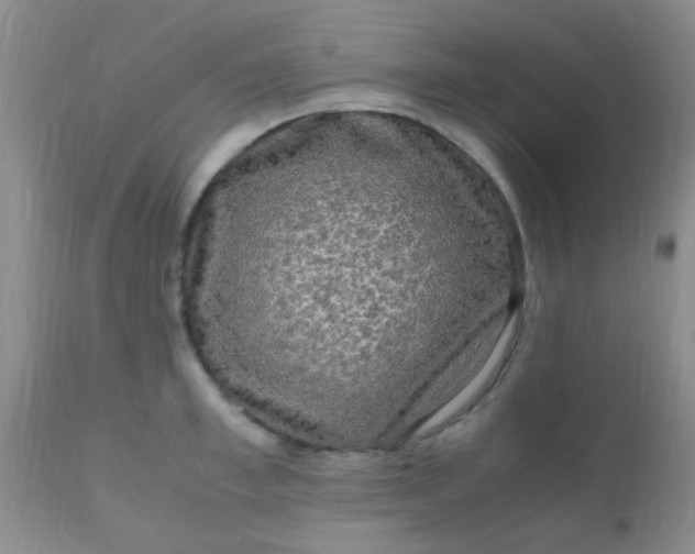 X0000110950997200907022152