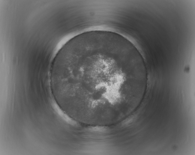 X0000110950998200907022152