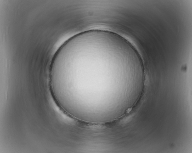 X0000110950999200907022152