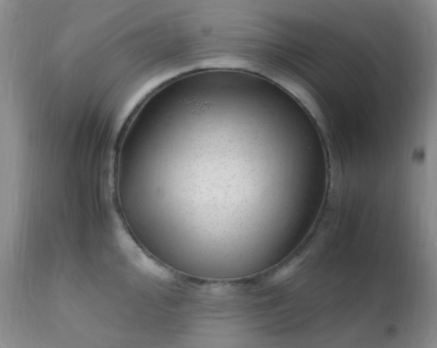 X0000110951000200907022152