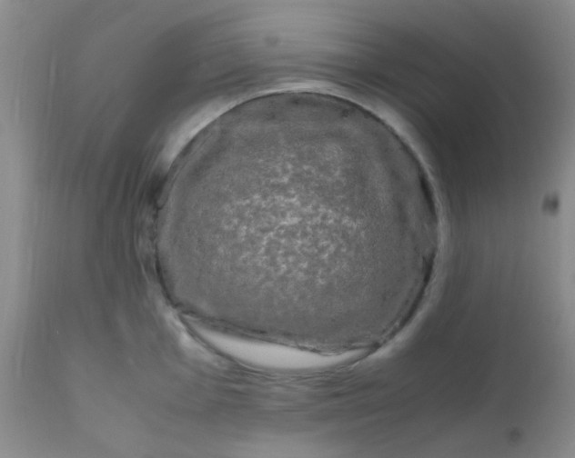 X0000110951001200907022152