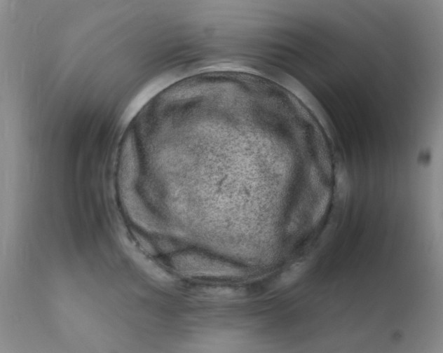 X0000110951002200907022152