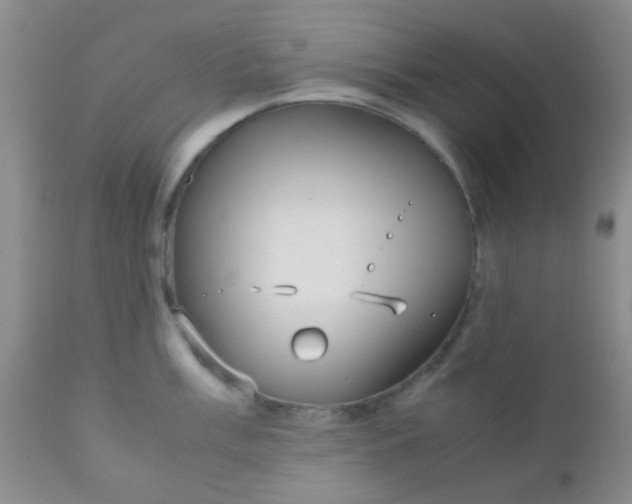 X0000110951003200907022152