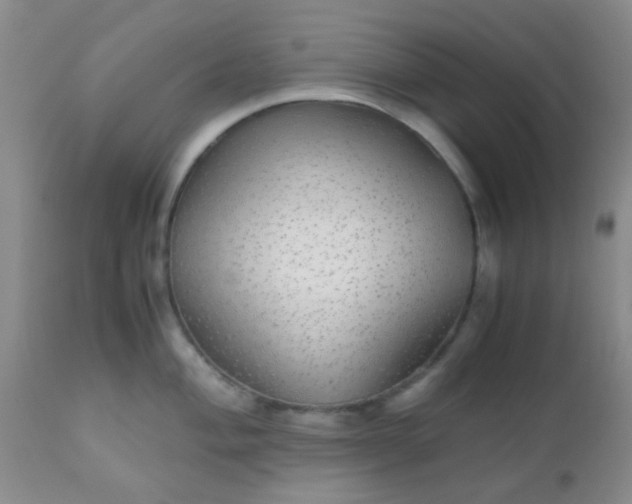 X0000110951004200907022152