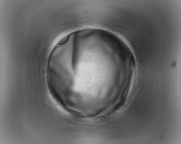 X0000110951005200907022152