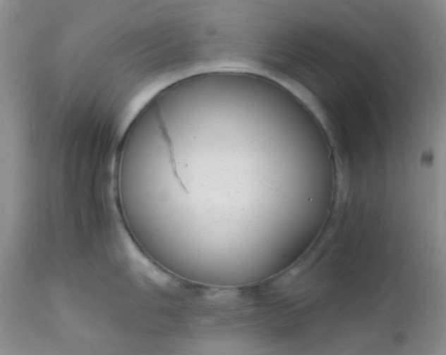 X0000110951006200907022152