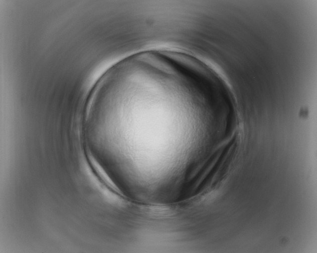 X0000110951007200907022152