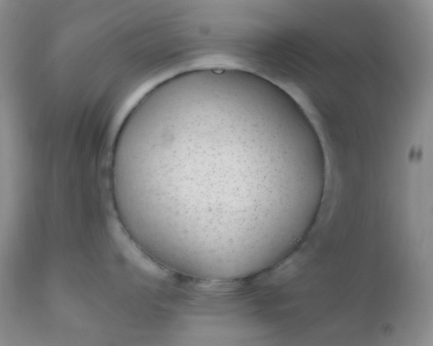 X0000110951008200907022152