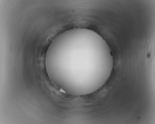 X0000110951010200907022152