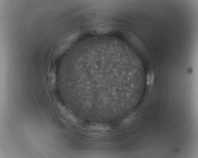 X0000110951011200907022152