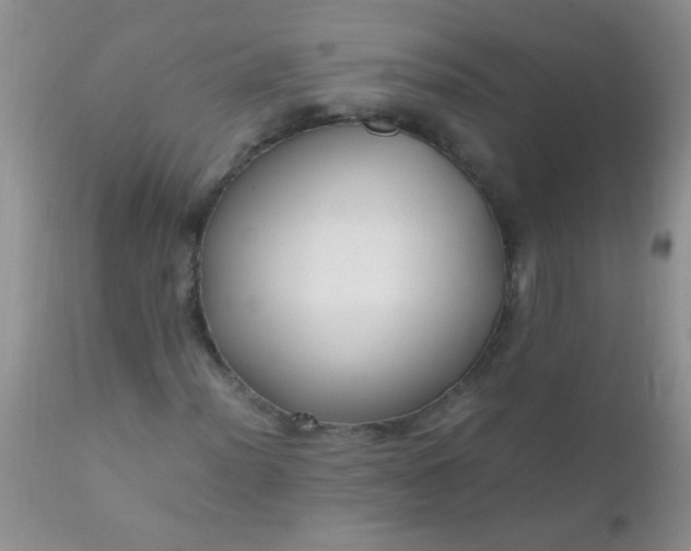 X0000110951012200907022152