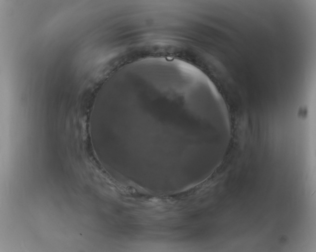 X0000110951013200907022152