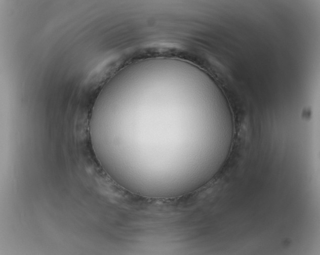 X0000110951014200907022152