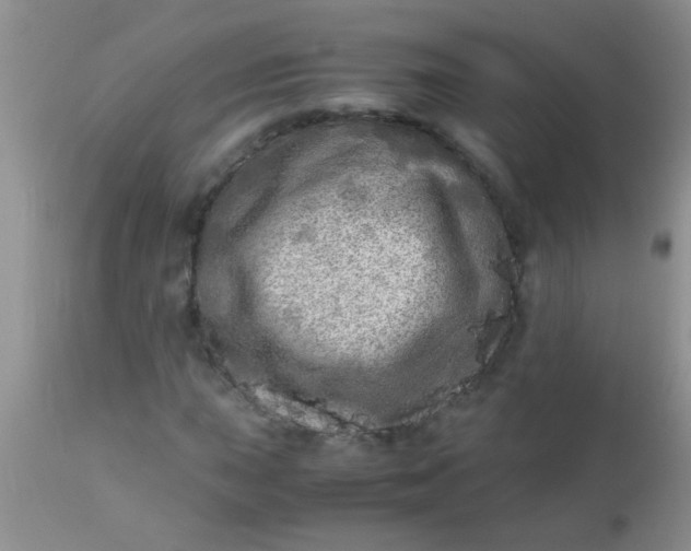 X0000110951015200907022152