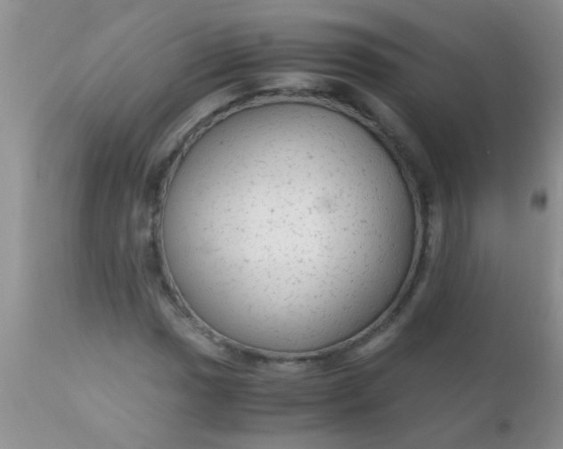 X0000110951017200907022152