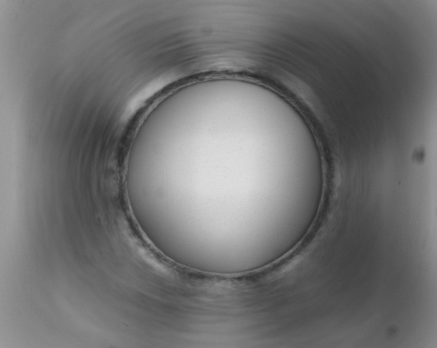 X0000110951018200907022152