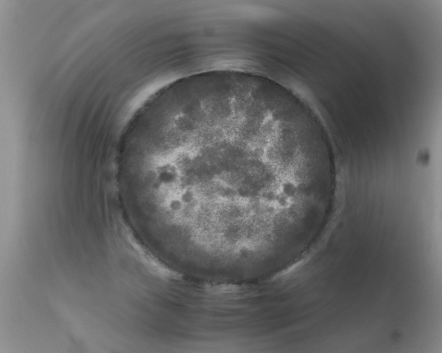 X0000110951019200907022152